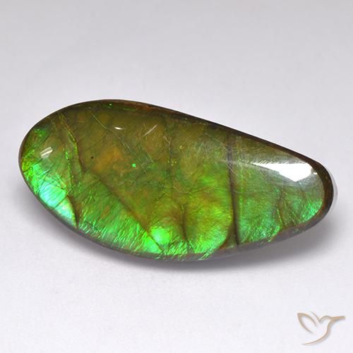 Ammolite Multicolore naturelle Fantaisie, 15.77 ct, Opaque