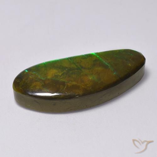 Ammolite Multicolore naturelle Fantaisie, 15.77 ct, Opaque