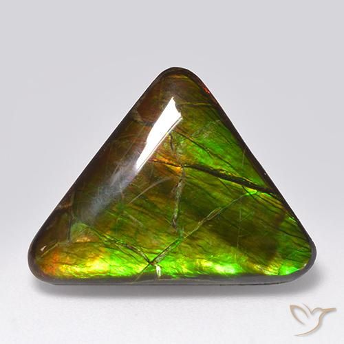 14.54ct Naturel Multicolore Ammolite, Trillion, Opaque