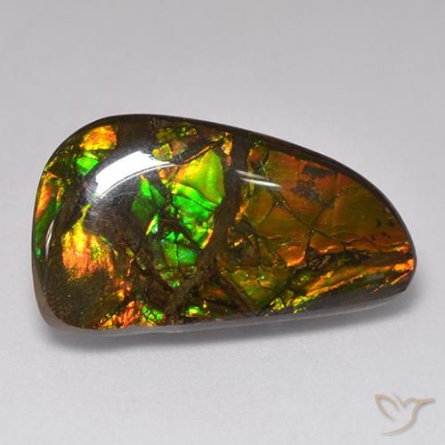 Ammolite Multicolore naturelle Fantaisie, 13.48 ct, Opaque