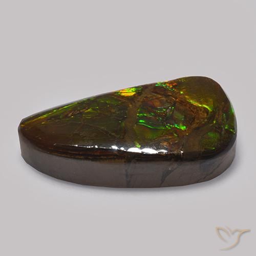 Ammolite Multicolore naturelle Fantaisie, 13.48 ct, Opaque
