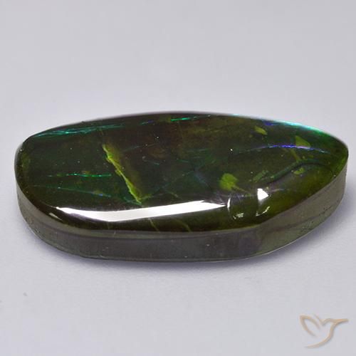 Ammolite Multicolore naturelle Fantaisie, 13.66 ct, Opaque