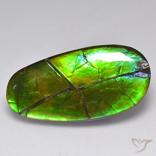 Ammolite multicolore naturelle forme fantaisie, 17,05 ct, opaque