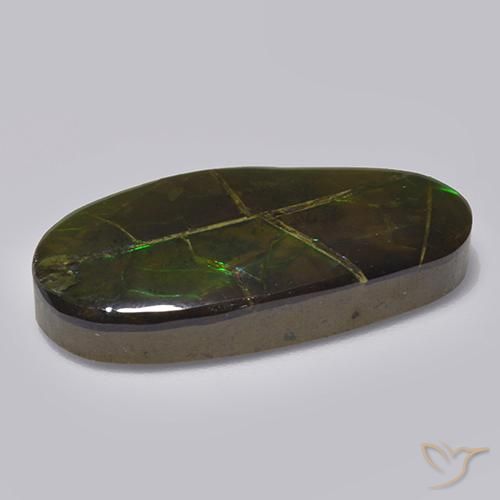 Ammolite multicolore naturelle forme fantaisie, 17,05 ct, opaque