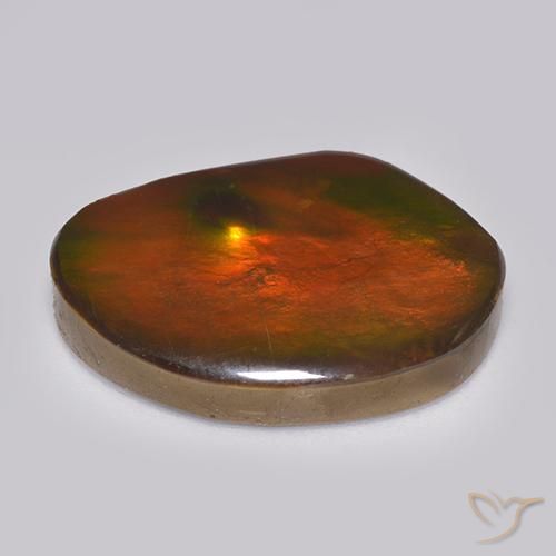 Ammolite Multicolore naturelle Fantaisie, 21.29 ct, Opaque