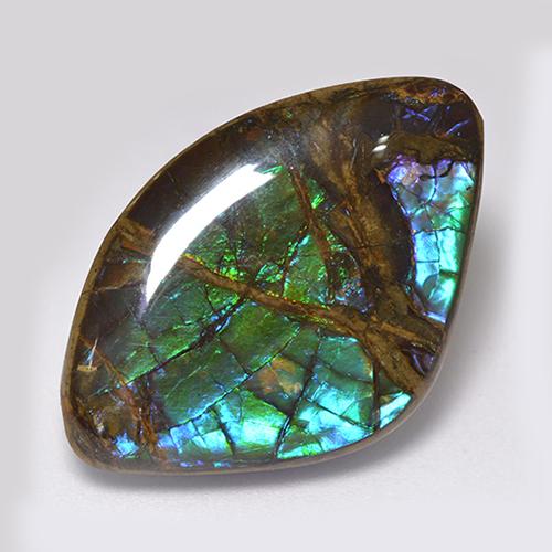 Ammolite multicolore naturelle forme fantaisie, 18,11 ct, opaque