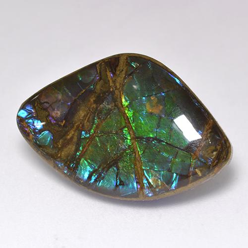Ammolite multicolore naturelle forme fantaisie, 18,11 ct, opaque