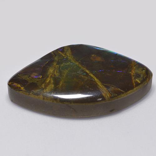 Ammolite multicolore naturelle forme fantaisie, 18,11 ct, opaque