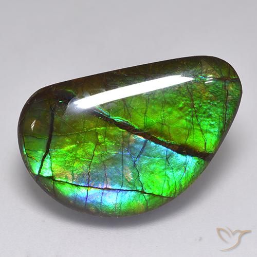 Ammolite Multicolore naturelle Fantaisie, 15.82 ct, Opaque
