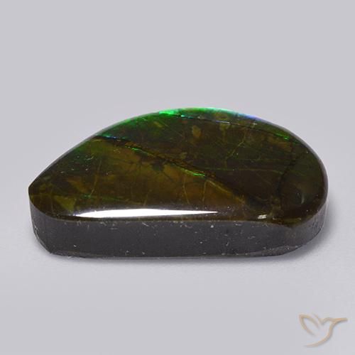 Ammolite Multicolore naturelle Fantaisie, 15.82 ct, Opaque