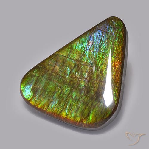 Ammolite Multicolore naturelle Fantaisie, 19.82 ct, Opaque
