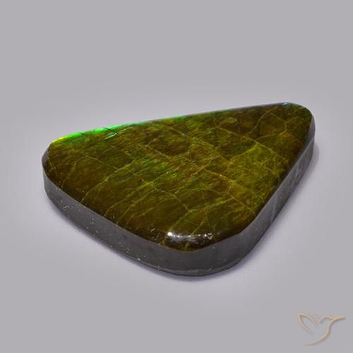 Ammolite Multicolore naturelle Fantaisie, 19.82 ct, Opaque