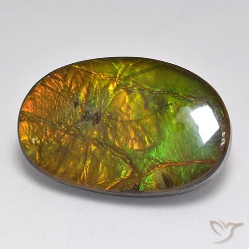 Ammolite Multicolore naturelle ovale, 18.91 ct, Opaque
