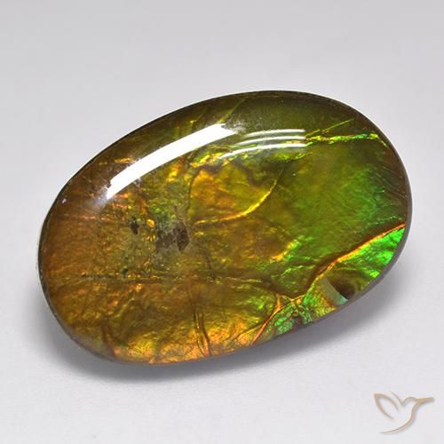 Ammolite Multicolore naturelle ovale, 18.91 ct, Opaque