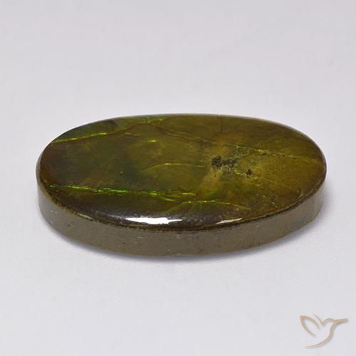 Ammolite Multicolore naturelle ovale, 18.91 ct, Opaque