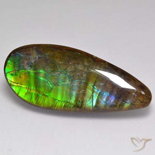 20.06ct Naturel Multicolore Ammolite, Fantaisie, Opaque