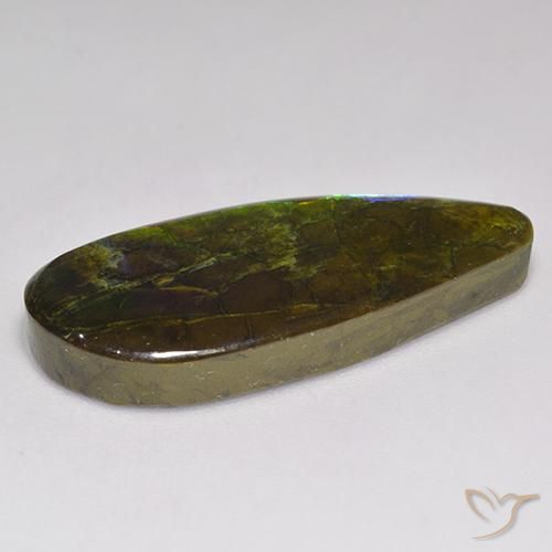 Ammolite Multicolore naturelle Fantaisie, 20.06 ct, Opaque