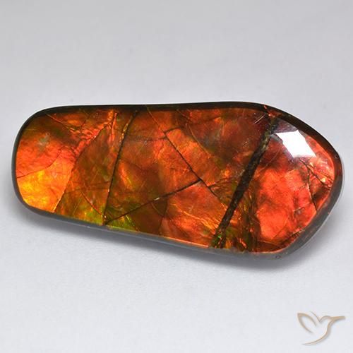 Ammolite Multicolore naturelle Fantaisie, 15.53 ct, Opaque
