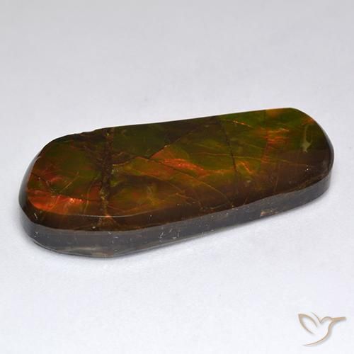 Ammolite Multicolore naturelle Fantaisie, 15.53 ct, Opaque