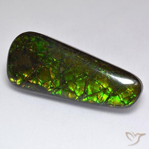 Ammolite Multicolore naturelle Fantaisie, 17.04 ct, Opaque