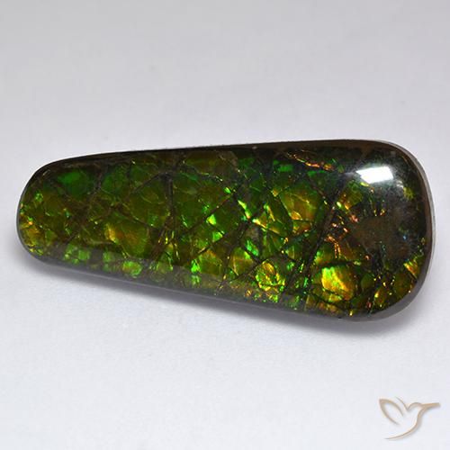 Ammolite Multicolore naturelle Fantaisie, 17.04 ct, Opaque