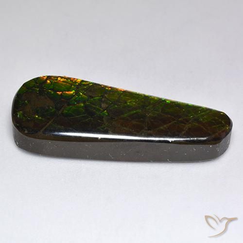 Ammolite Multicolore naturelle Fantaisie, 17.04 ct, Opaque