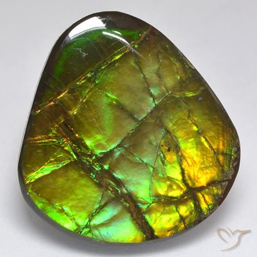 Ammolite Multicolore naturelle Fantaisie, 18.81 ct, Opaque