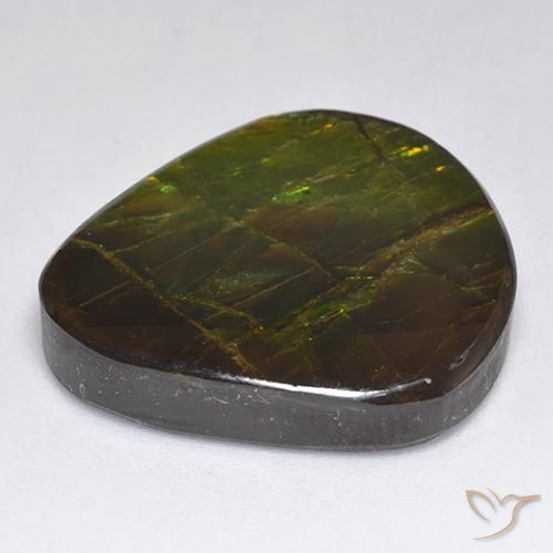 Ammolite Multicolore naturelle Fantaisie, 18.81 ct, Opaque