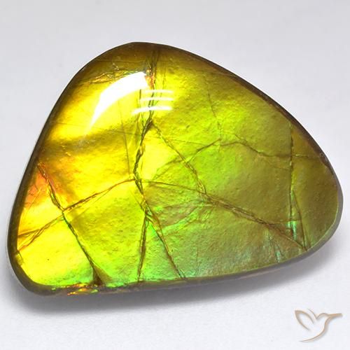 Ammolite Multicolore naturelle Fantaisie, 19.06 ct, Opaque