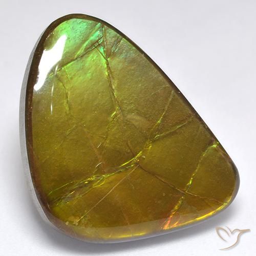 Ammolite Multicolore naturelle Fantaisie, 19.06 ct, Opaque