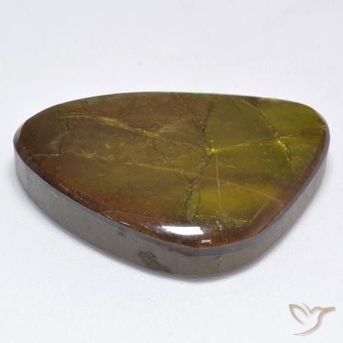 Ammolite Multicolore naturelle Fantaisie, 19.06 ct, Opaque