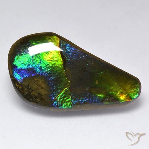 Ammolite Multicolore naturelle Fantaisie, 11.35 ct, Opaque
