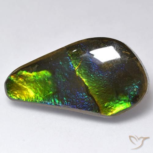 Ammolite Multicolore naturelle Fantaisie, 11.35 ct, Opaque