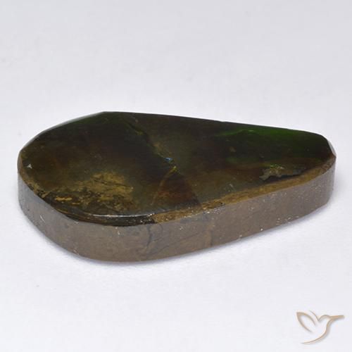 Ammolite Multicolore naturelle Fantaisie, 11.35 ct, Opaque