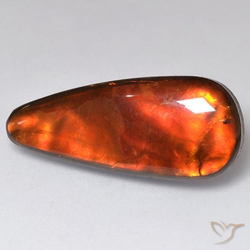 Ammolite Multicolore naturelle Fantaisie, 13.57 ct, Opaque