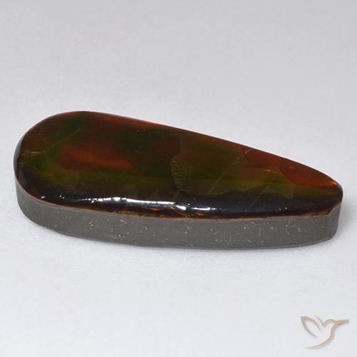 Ammolite Multicolore naturelle Fantaisie, 13.57 ct, Opaque