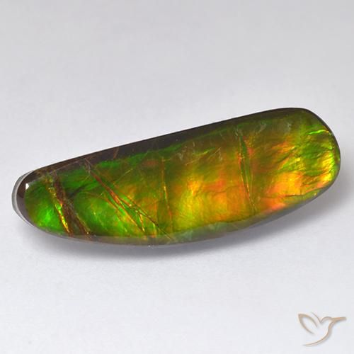Ammolite Multicolore naturelle Fantaisie, 11.01 ct, Opaque
