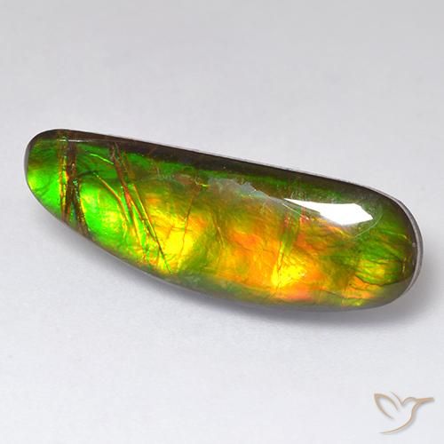 Ammolite Multicolore naturelle Fantaisie, 11.01 ct, Opaque