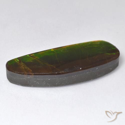 Ammolite Multicolore naturelle Fantaisie, 11.01 ct, Opaque