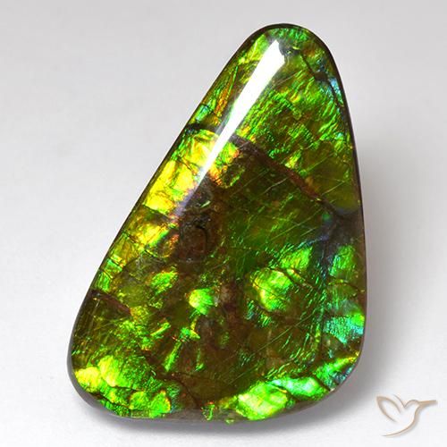 Ammolite Multicolore naturelle Fantaisie, 18.51 ct, Opaque