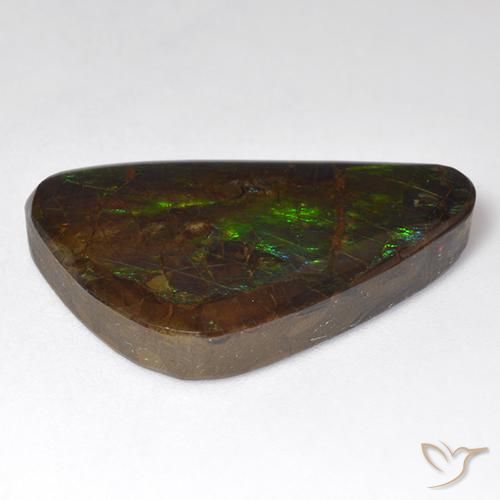Ammolite Multicolore naturelle Fantaisie, 18.51 ct, Opaque