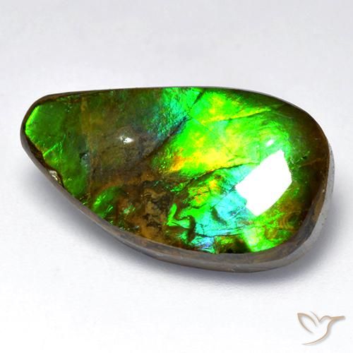 Ammolite Multicolore naturelle Fantaisie, 12.04 ct, Opaque