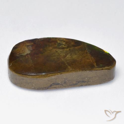 Ammolite Multicolore naturelle Fantaisie, 12.04 ct, Opaque