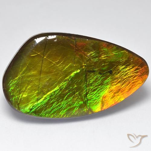 Ammolite Multicolore naturelle Fantaisie, 22.28 ct, Opaque