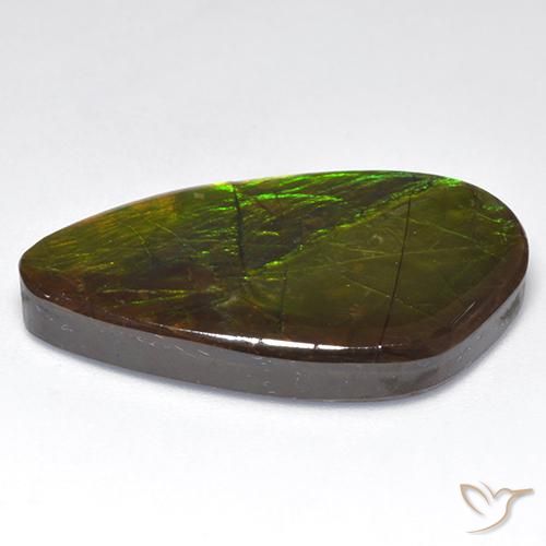 Ammolite Multicolore naturelle Fantaisie, 22.28 ct, Opaque