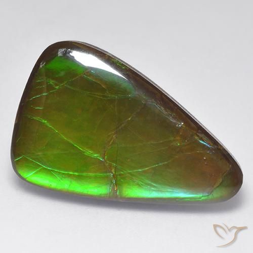 Ammolite Multicolore naturelle Fantaisie, 16.16 ct, Opaque