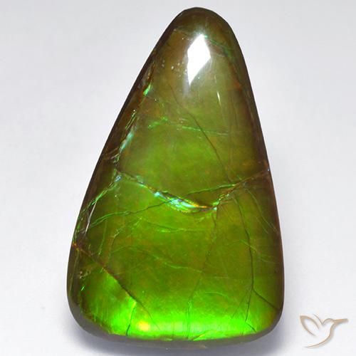 Ammolite Multicolore naturelle Fantaisie, 16.16 ct, Opaque