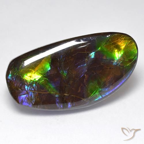Ammolite Multicolore naturelle Fantaisie, 16.71 ct, Opaque
