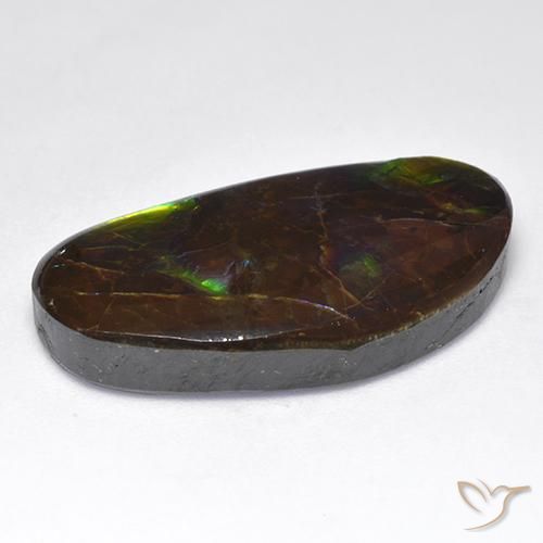 Ammolite Multicolore naturelle Fantaisie, 16.71 ct, Opaque