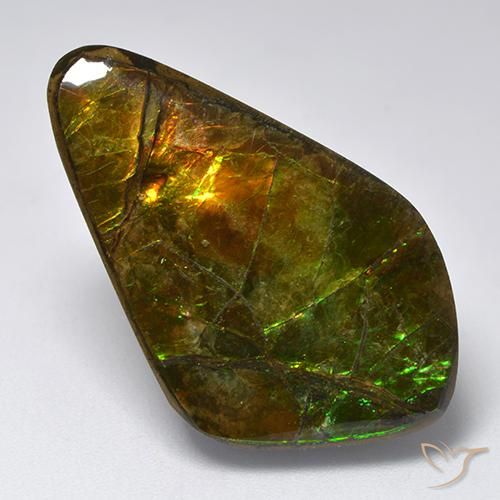 Ammolite Multicolore naturelle Fantaisie, 19.12 ct, Opaque